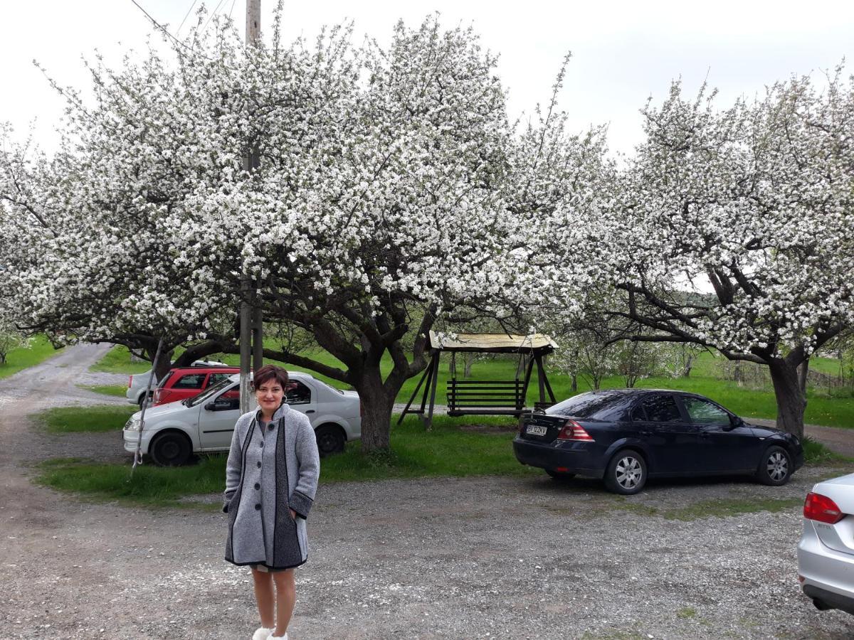 Affittacamere Pensiunea Marina