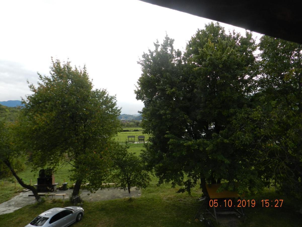 Affittacamere Pensiunea Marina Bran (Brasov)