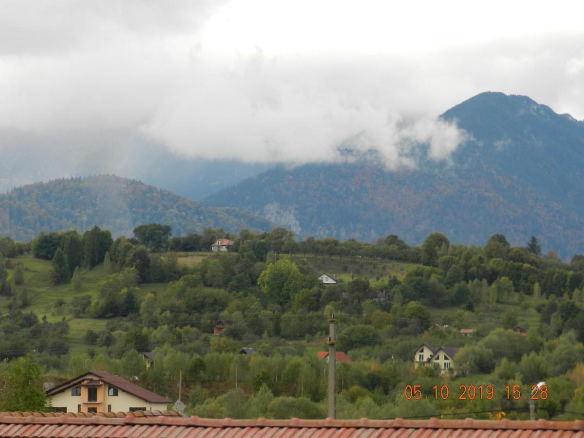 Pensiunea Marina 3* Bran (Brasov)