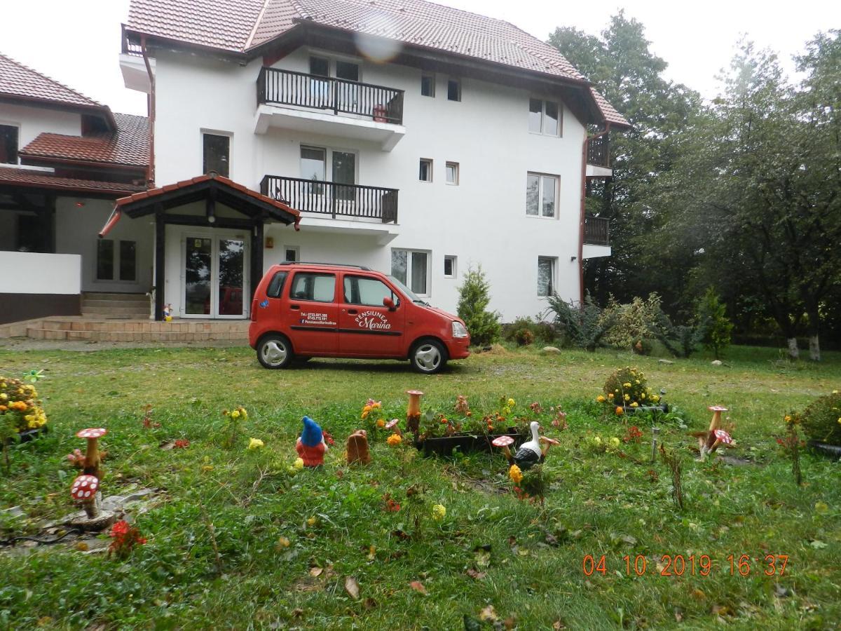 Affittacamere Pensiunea Marina 3*