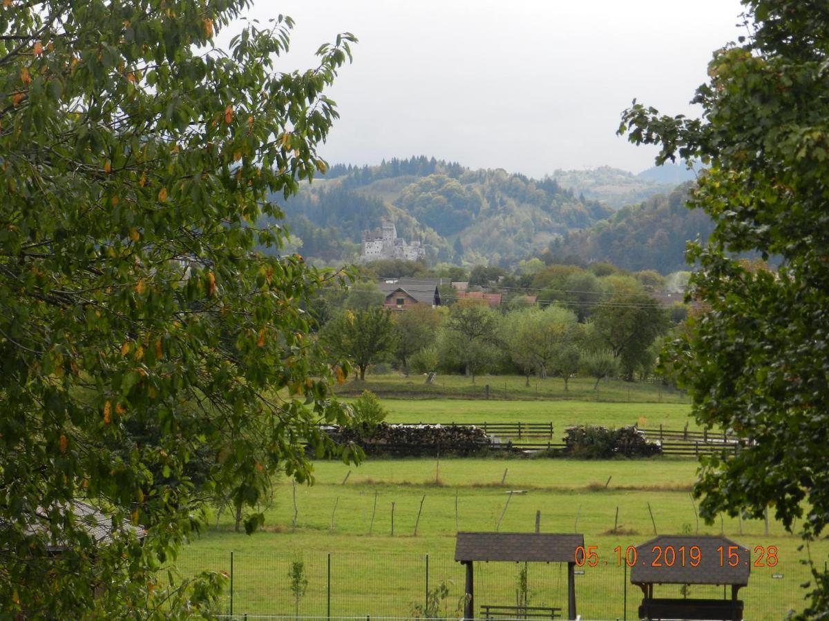 Pensiunea Marina 3* Bran (Brasov)
